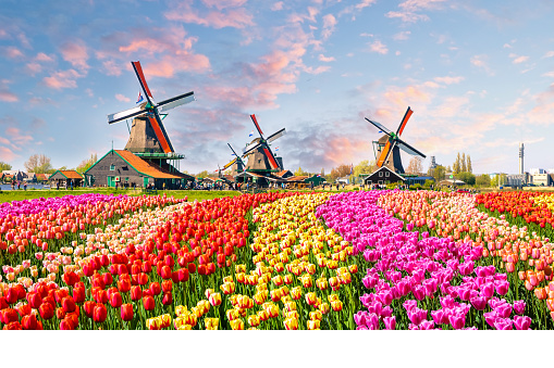 Paysage aux Pays-Bas